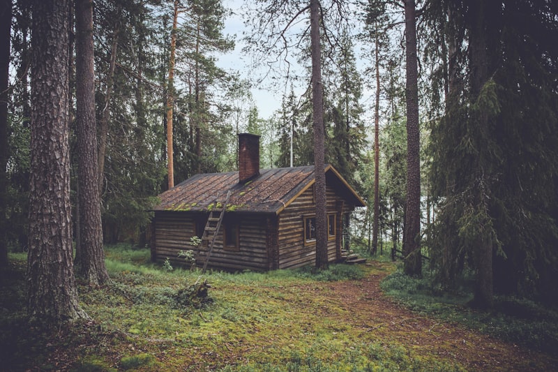 Timber structure