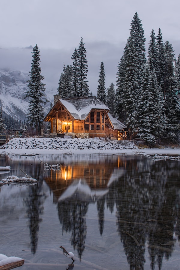 Modern Cabin